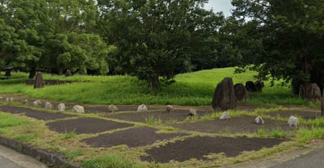 紫ヶ丘公園