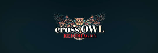 cross OWL(クロスアウル)