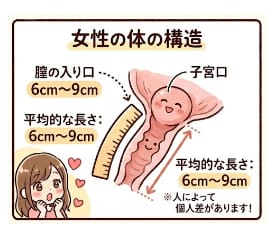 ちんこ 17cm