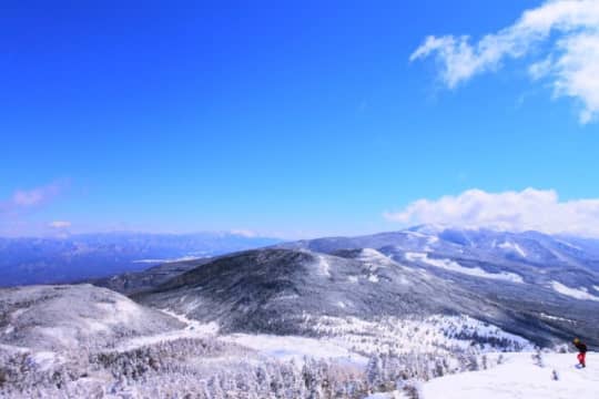 山頂付近からの眺め