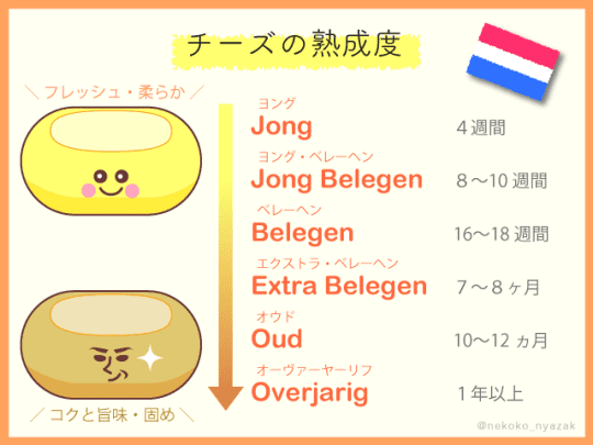 オランダのチーズの熟成度のイラストby猫子