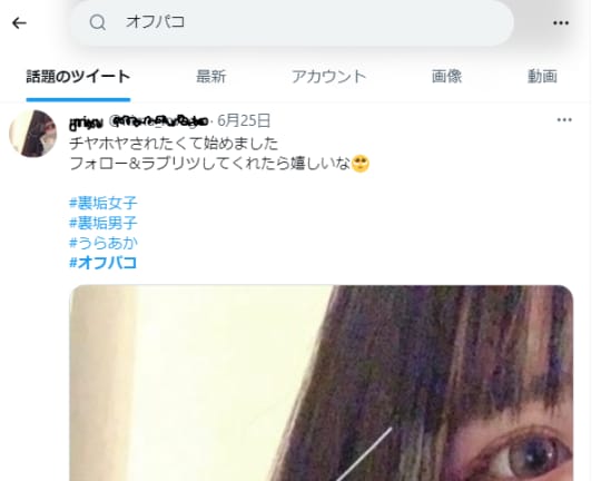 ツイッターの切り抜き