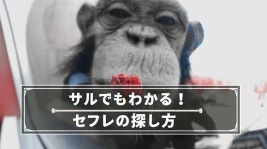 サルでもわかるセフレ探し