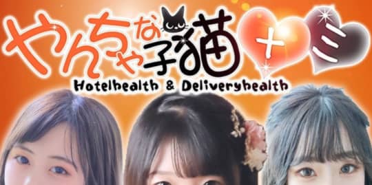 やんちゃな子猫 十三店