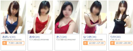 ニューパピヨンの在籍一覧画像