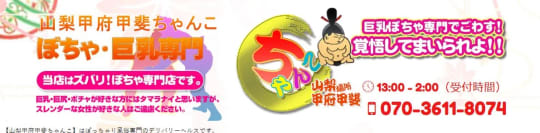 山梨甲府甲斐ちゃんこ