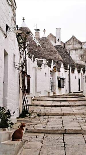 アルベロベッロ