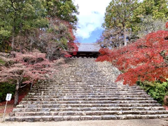 神護寺本堂前石段