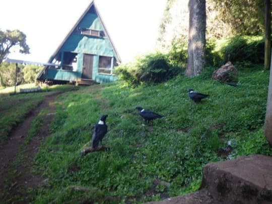 タンザニアの森小屋