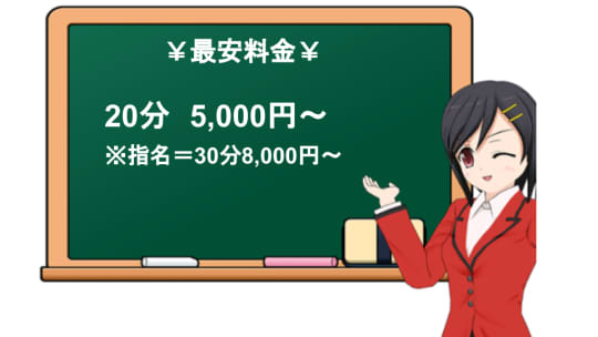 バリエーションの料金表