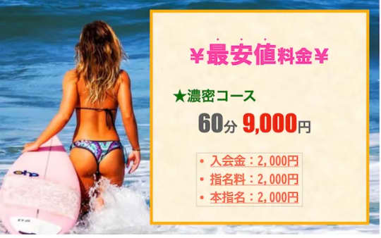 人妻レディプレイスの料金表