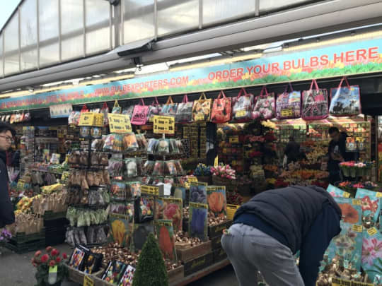 シンゲルの花市場