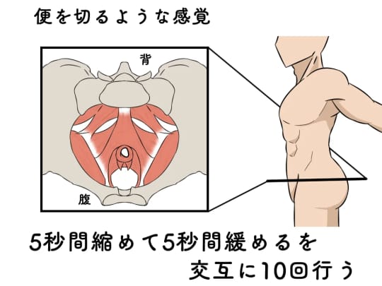 PC筋トレーニング