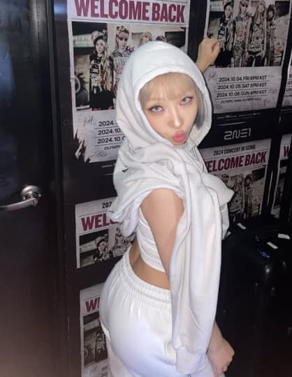 2NE1 流出
