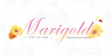 マリーゴールド