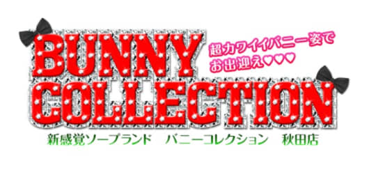 バニーコレクション