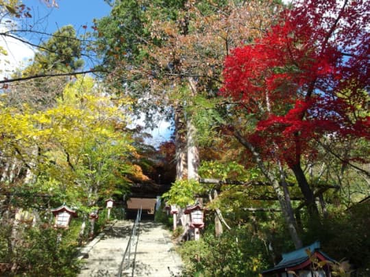 大善寺　紅葉