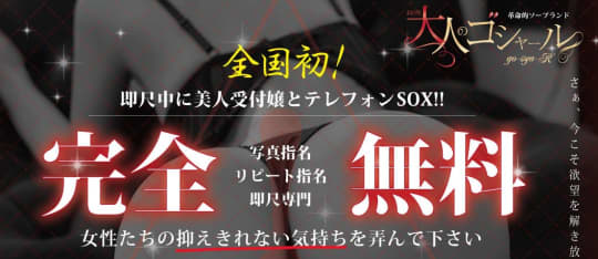 大人のゴシャール
