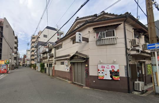 ねこ色
