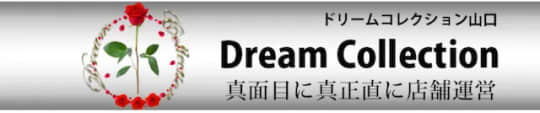 ドリームコレクション