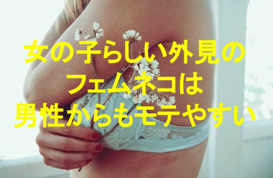 フェムネコの特徴