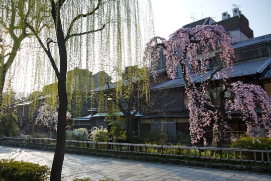 祇園白川