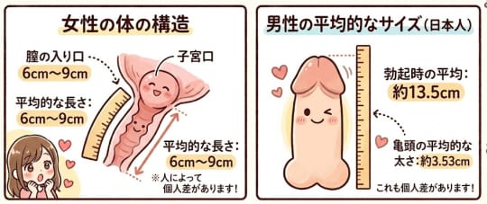 おちんちん　長さ
