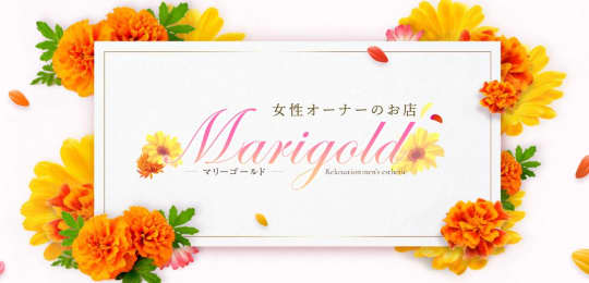 marigold(マリーゴールド)