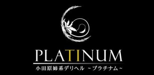 PLATINUM(プラチナム)_ロゴ