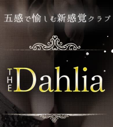 The Dahlia