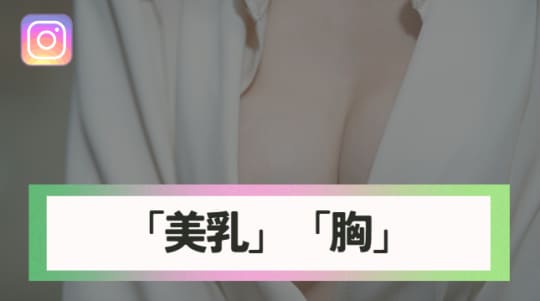 「美乳」「胸」