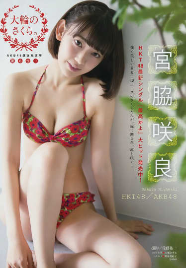SAKURA(宮脇咲良) おっぱい