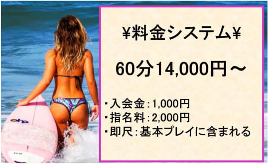 いま、欲しいの・・・の料金システム