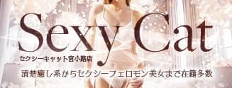 セクシーキャット宮小路店