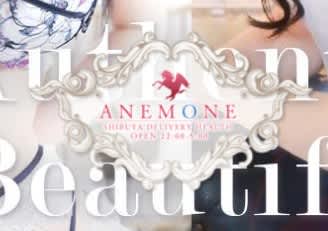 Anemone 渋谷店