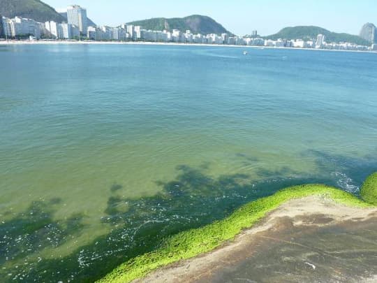 要塞からの景色