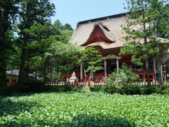 出羽三山神社　本殿遠景