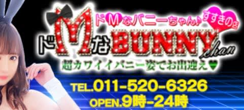 ドMなバニーちゃん すすきの店