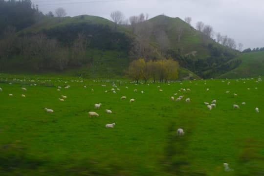 バスからの風景