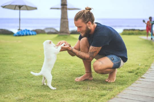 スクワット犬