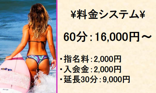 インテリお姉さんのMスクールの料金表