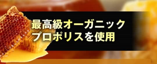 ペニブーストプレミアム 