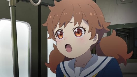 星撫子
