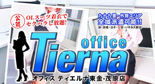 ティエルナ東金
