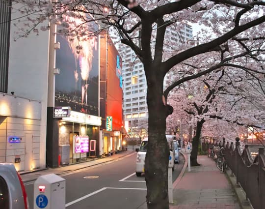 横浜福富町ソープ街