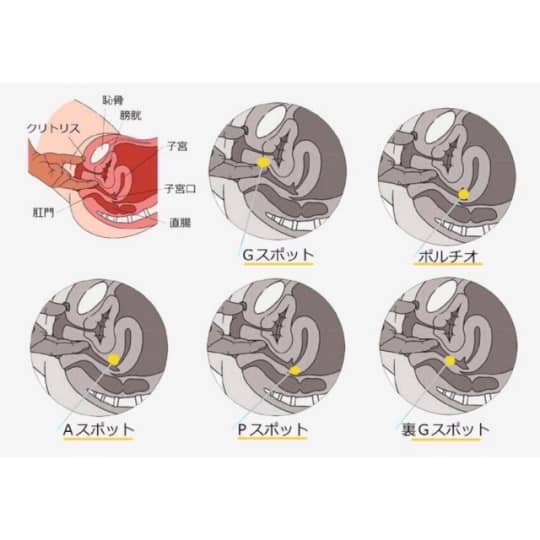 Aスポット・Gスポット