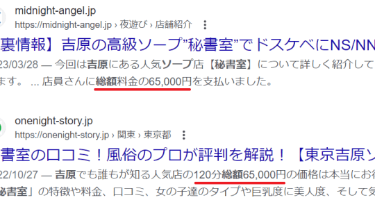 検索結果の画像