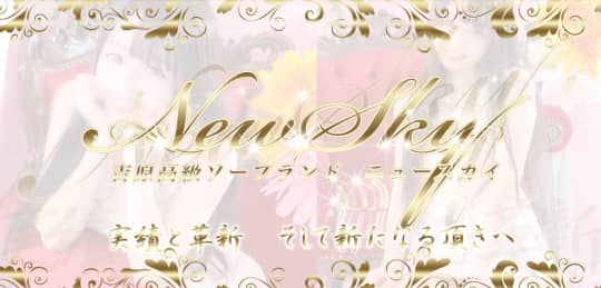 ニューススカイ