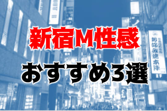 新宿の他の夜遊び記事