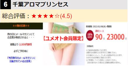 千葉アロマプリンセス/ロゴ･女の子･イベント